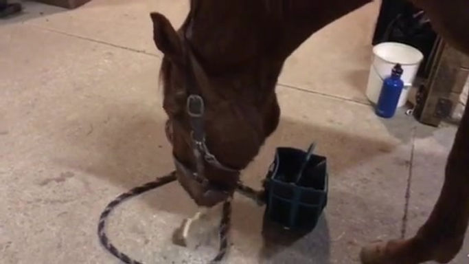 Brushing the floor